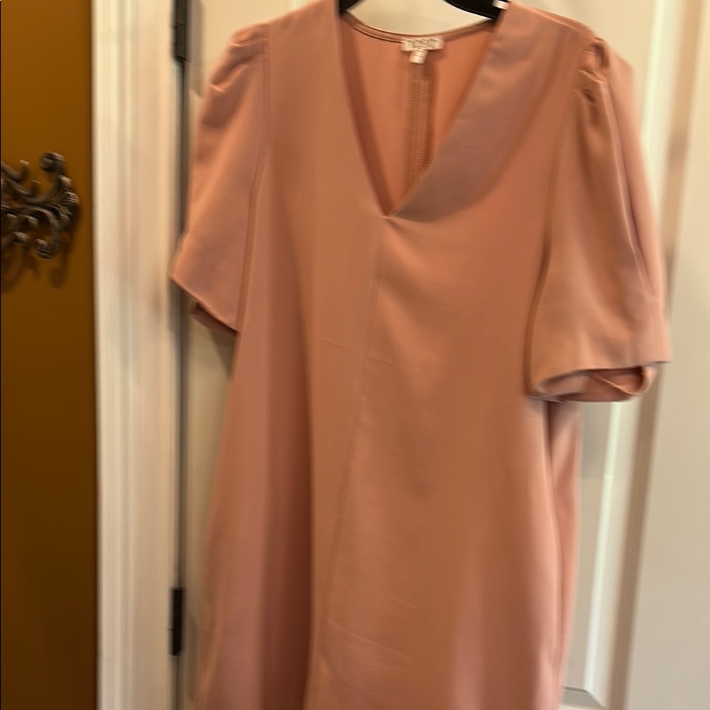 TCEC Pink Puff Sleeve V-Neck Mini Dress